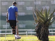 Bóng đá anh, ngoại hạng anh, lịch thi đấu euro 2012,  Rio: Mất băng đội trưởng lẫn vị trí?
